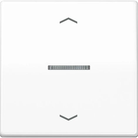 JUNG BTAS17101PWW interruptor de luz Termoplástico Blanco