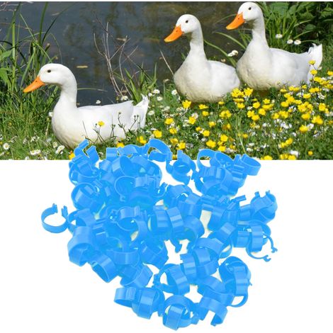 Lot de 100 anneaux de patte pour volailles (poulets, canards), bagues d'identification à boucle ouverte, anneaux de cheville bleus de 20 mm (1/5)