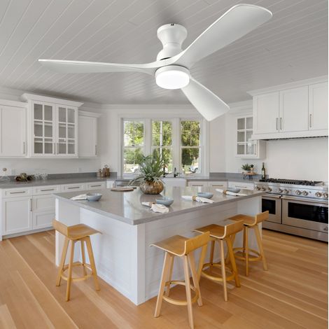 Ventilatore da soffitto con luce 132 cm, 3 pale in legno, telecomando, bianco DESVIAE (1/5)