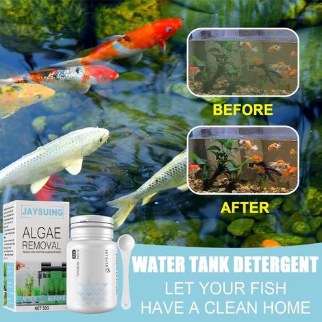 Clarificateur D Eau Aquarium - Traitement Anti Algues Pour Bassins De Poissons - Formule Naturelle Pour Eaux Vertes Et Brunâtres - 1 Unité (1/4)