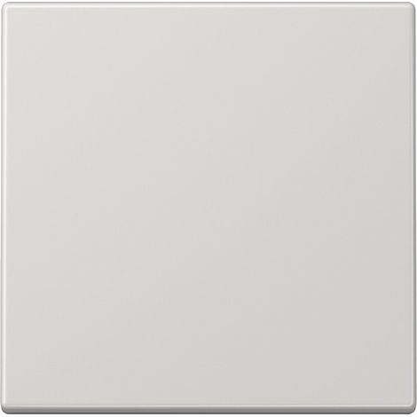 Jung Wippe lgr für Taster LS 990 LG (1/4)