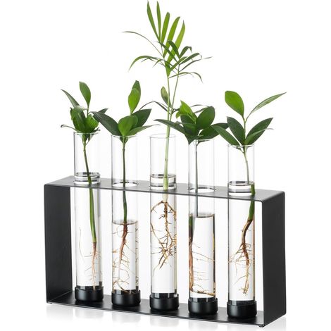 Plantes Propagation Station - Vase Terrarium en Verre avec 5 Tubes à Essai pour Hydroponiques Plantes Boutures Vase Moderne en Métal pour Fleurs Vases Noirs pour Maison Bureau (1/5)