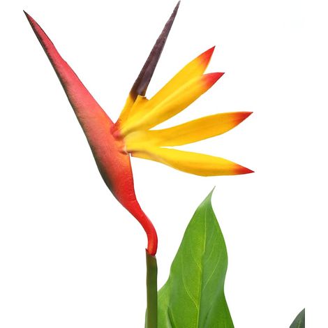 vidaXL Planta strelitzia reginae ave del paraíso artificial 66 cm (1/2)