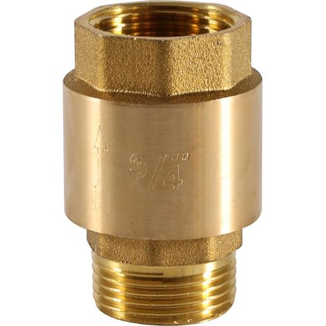 Clapet anti-retour en laiton 3/4", clapet anti-retour pour eaux usées 3/4" (1/5)