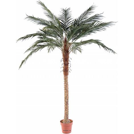 Palmier Phoenix Artificiel H210 cm D150 cm Tronc fibre de verre en pot
