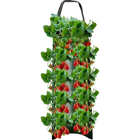 jardinières suspendues pour fraises 10 trous plantation de tomates poivrons fruits Lot de 3 (1/5)