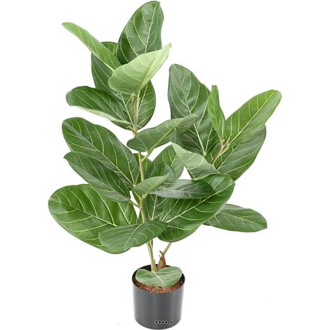 Ficus Elastica Artificiel tronc bois en pot factice H 62 cm D 55 cm - dimhaut: H 62 cm - couleur: Vert