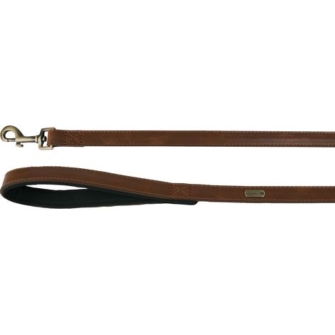 Laisse Brun 100CM 20MM