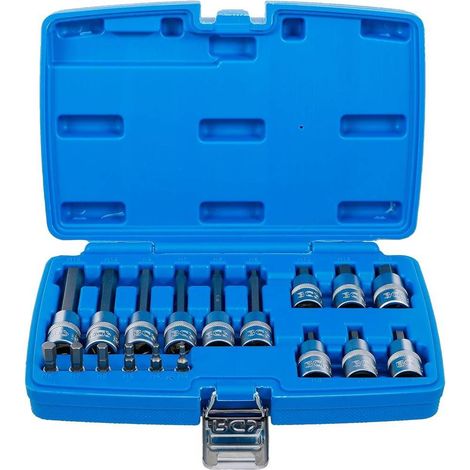 Jeu de Douilles et Embouts 18 pcs - 6,3 mm (1/4) 12,5 mm (1/2), Six Pans Intérieurs - Polyvalent et Résistant - D-Work (1/5)