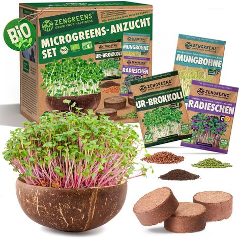 Microgreens Kokos Anzuchtset mit 3 Kokospads und Bio Keimsaat