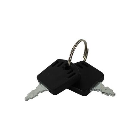 Juego de 2 llaves para tractor cortacésped GGP - 118210016/1