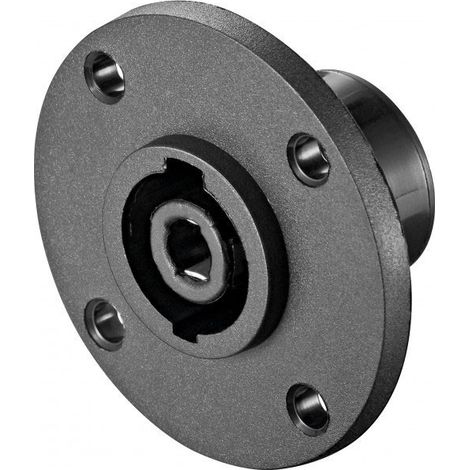 goobay Wentronic 50838-GB Prise de Haut-Parleur 4 Broches