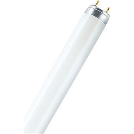 Osram L 30 W/865 lámpara fluorescente