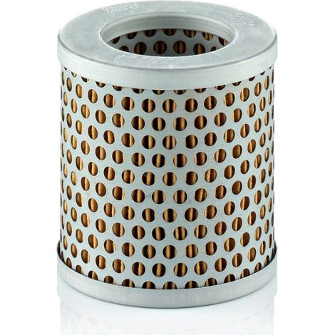 Filtre à air Mann Filter C75/4