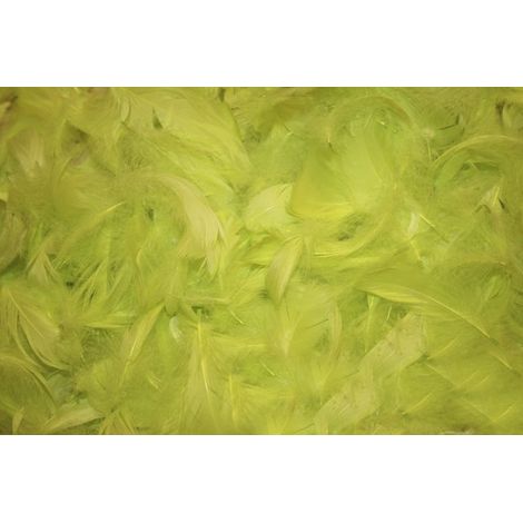 Piume decorative, 1 confezione, verde mela