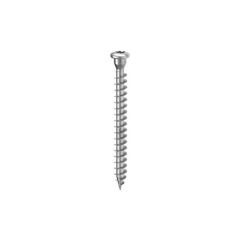 Sbl vite a testa tonda per piastre 5x50 mm.