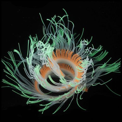 Anémone Mer Lumineuse Aquarium, Plante Artificielle Silicone, Déco Flottante Pliable