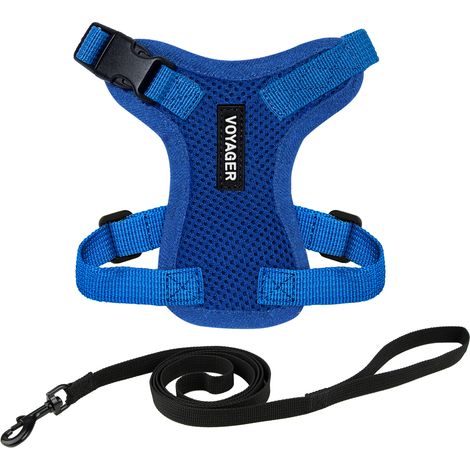 Voyager Step-in Lock Katzengeschirr und reflektierende Katzenleine mit Neoprengriff by Best Pet Supplies - Unterstützt kleine, mittelgroße und große Katzenrassen, Königsblau, size XXXS - 1,5 m