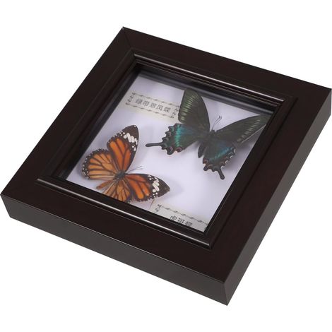 Boîte à Ombre Insecte Imitation en Bois et Acrylique, Cadre Photo Vintage DIY pour Décoration Intérieure et Présent D'anniversaire Polyvalent (1/5)