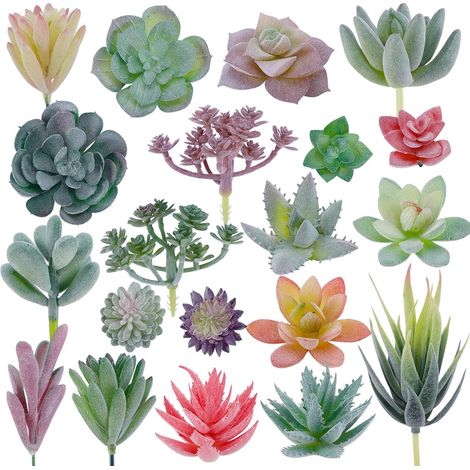 Lot de 20 mini plantes succulentes artificielles floquées - Décoration pour bricolage, maison, mur, jardin, bureau (sans pot) (1/5)