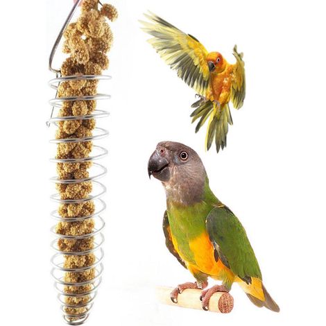 Mangeoire oiseaux, distributeur nourriture naturelle, gamelle hamster inox, mangeoire perroquet métal, accessoire cage robuste (1/5)