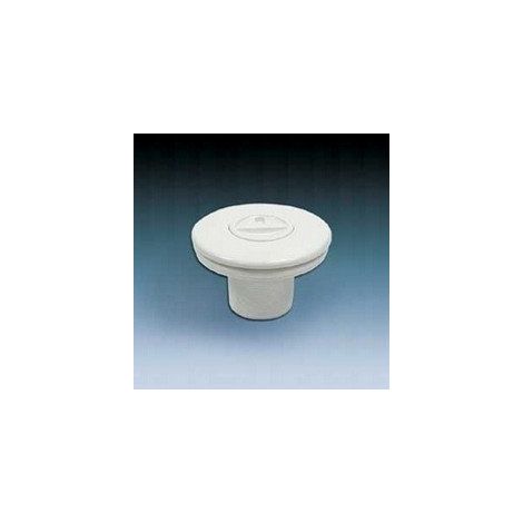 Bocchetta di aspirazione AstralPool 00332 per piscina con liner Ø50 filettatura 2"