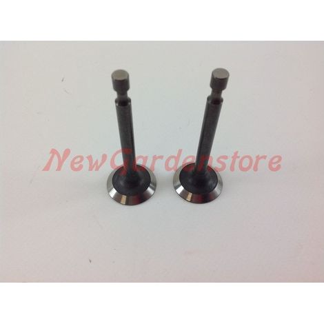 Kit de soupape d'aspiration, échappement du moteur 1P65A 550034 (1/4)