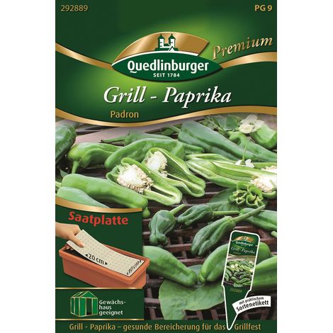 Quedlinburger Saatgut – Poivron à griller Padron – Plaque de semis, graines de légumes, hauteur env. 50 cm (1/2)