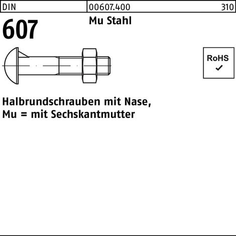 DIN 607 m.Nase/6-kantmutter