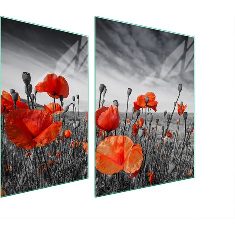 Plaque de protection en verre POUR le four 70x52 maki (1/5)