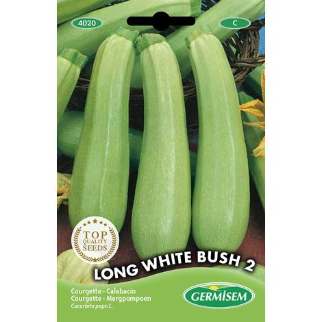 graines Courgette LONG WHITE BUSH 2