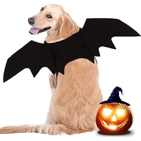 Ailes de chauve-souris pour chien, costume d'Halloween pour chien, grand costume pour chien, sac à dos chauve-souris pour chien (1/4)
