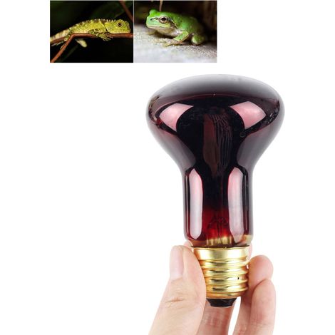 Lampe chauffante infrarouge 60W, ampoule verre rouge pour lézard, reptile et amphibien