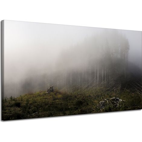 Leinwanddruck Natur Nebel im Wald 120x70 cm
