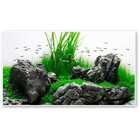 Sfondo doppio Amazonia blister 45x100 cm (1/3)