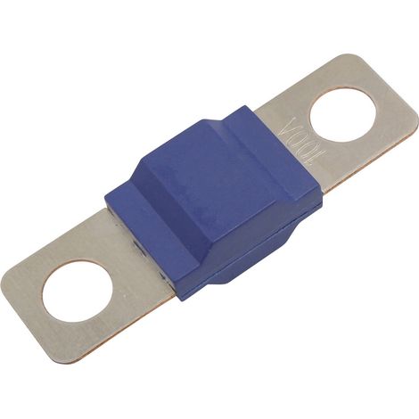 TRU COMPONENTS TC-13545896  Sicherung  100 A 80 V/DC  Inhalt 10 St. Bulk