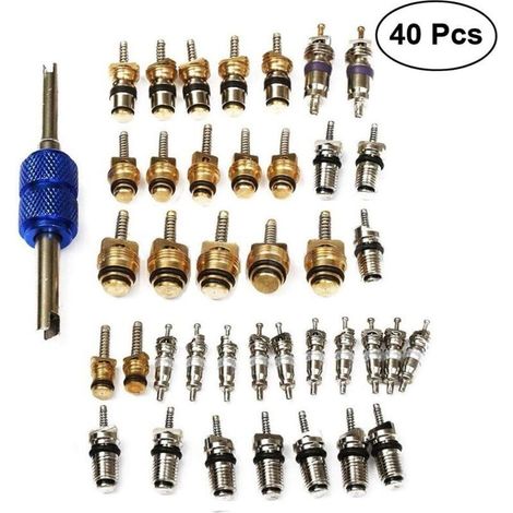 40 Pièces A/c Kit De Soupape Schrader Noyau De Valve R134a Démonte-pneu Kit De Recharge De Alternatif De Voiture Noyau De Climatisation Outils Auto Adaptateur (1/5)
