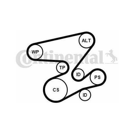 CONTITECH 6 PK 2080 K1 Jeu de courroies multi-V (avec rouleaux) (1/2)