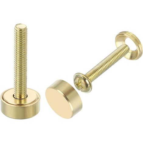 16-teiliges Set dekorativer Messingschrauben mit Kappen, 12 mm Spiegelschrauben mit Kappen, dekorative Möbelbefestigungsnägel, goldfarben