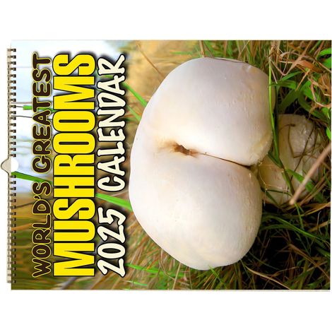 Calendrier mural suspendu 2025 raffiné élégant anglais pour salon bureau cadeau motif champignons (1/4)