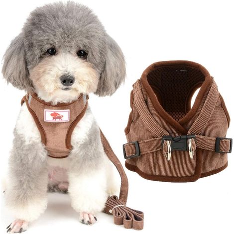 Harnais Veste pour Petit Chien Réglable Réfléchissant en Velours Côtelé Harnais et Laisse Anti Traction Chiot Harnais Gilet pour Chihuahua Yorkshire Chat Marron XS (1/5)