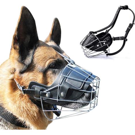 Collier métallique réglable pour grands chiens, cuir respirant, 25-30cm, robuste et confortable, idéal pour le dressage et la promenade quotidienne. (1/5)