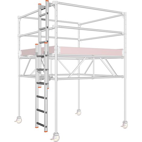 Layher Leiter für Staro Rollbock