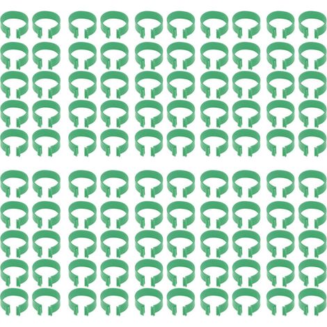 Filiyano-100 plumes de volaille à boucles ouvertes pour l'élevage de poules, canards et oies, accessoires pour volailles, vertes, 20 mm (1/5)
