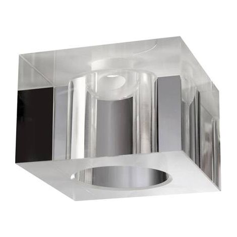 Tulipa Cubo transparente