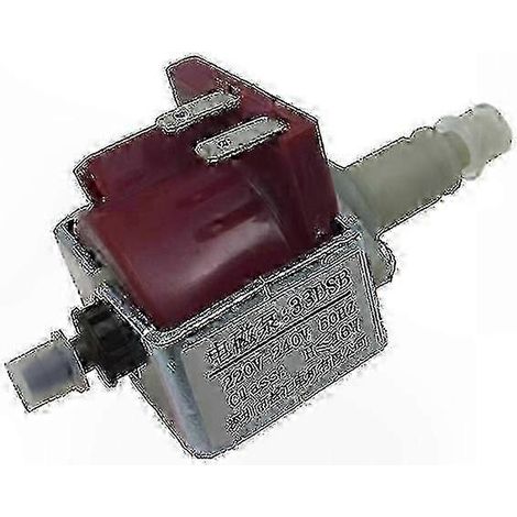 Pompe à eau électromagnétique compatible avec les équipements à vapeur, compatible 220 V (1/4)