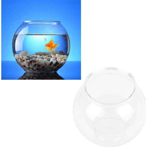 Aquaterrarium Moderne en Plastique pour Poissons - Idéal pour Décoration Intérieure (1/5)