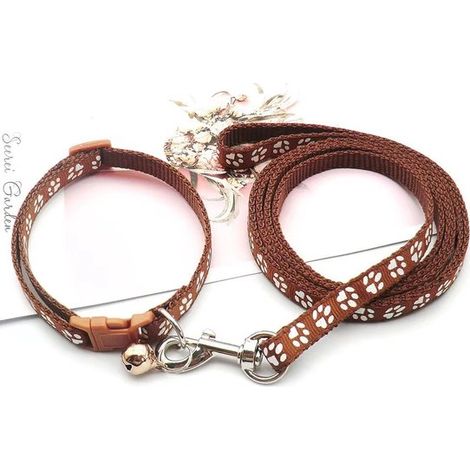 Collier pour chiot avec laisse, réglable, laisse souple en nylon pour chiots et petits chiens, 1,2 m de long, bleu ciel (1/5)