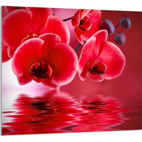 Panneau de verre POUR la cuisine 65x60 Orchidée (1/5)