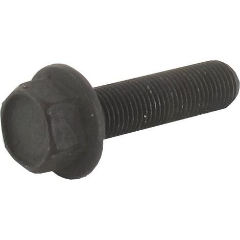 Vis de 32 mm AYP 181712